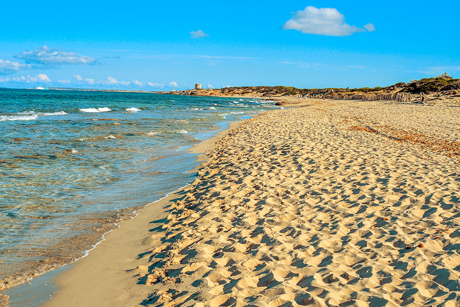 Praia de Las Salinas - A praia preferida dos famosos em Ibiza