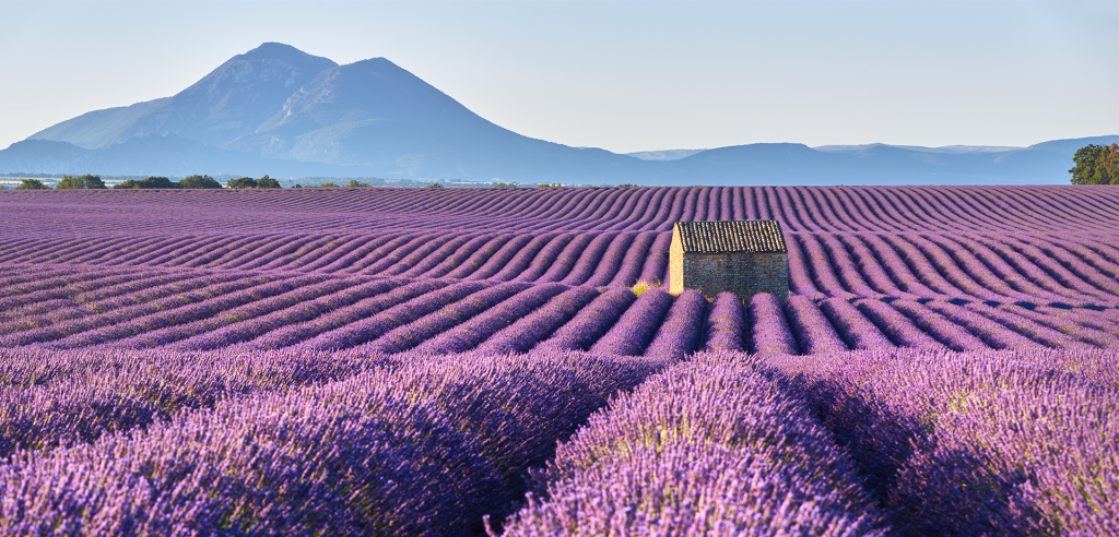 Provence